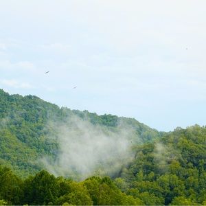 Meet your Posher, Parker